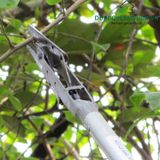 Kéo cắt cành trên cao Phước Lộc có kẹp trái HM1 2,5m 