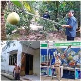  Kéo cắt cành trên cao Phước Lộc có kẹp trái HM1 2,5m 