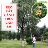  Kéo cắt cành hái trái trên cao 5m 