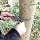  Kéo khoanh vỏ hàm rộng 14 cm lưỡi răng cưa 