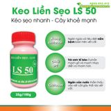  Keo liền sẹo - LS 50 (100gr) 