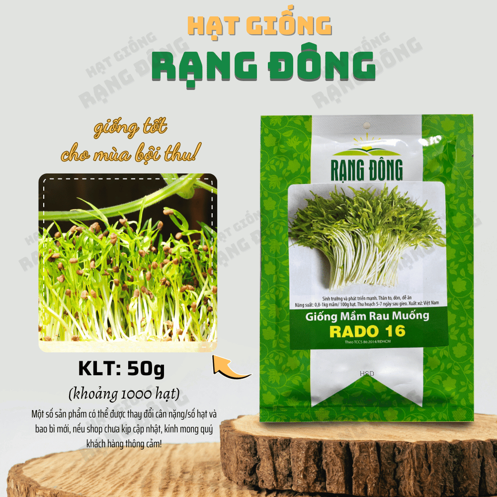  Mầm rau muống RD 16 