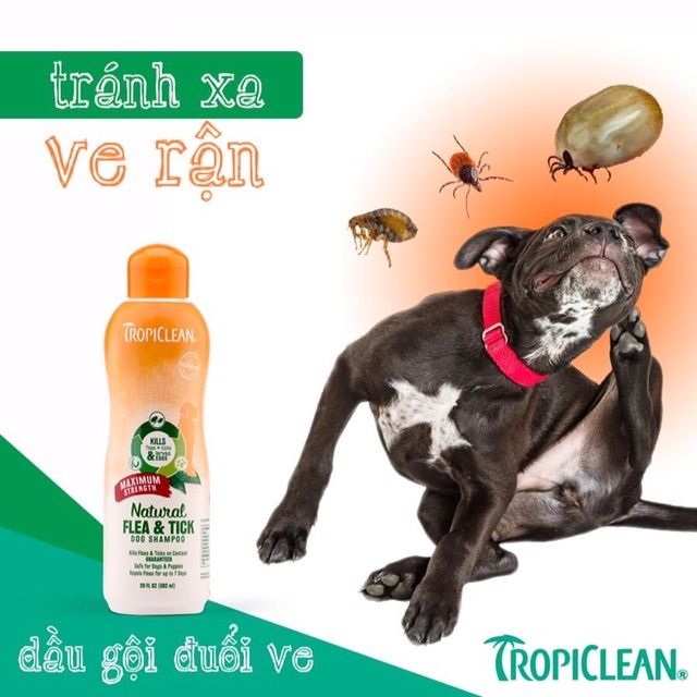 Sữa tắm trị ve rận bọ chét thiên nhiên TropiClean Natural Kill