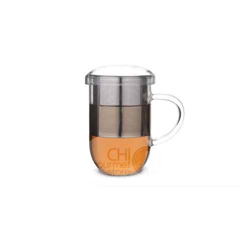 Pro Tea 450ml Glass Mug with Infuser & Lid (Clear)