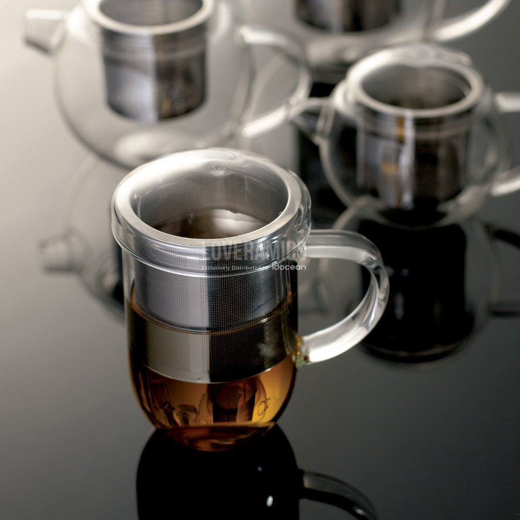 Pro Tea 450ml Glass Mug with Infuser & Lid (Clear)