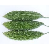 Hạt Giống Khổ Qua Inno I44 - ảnh 1