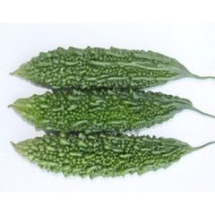  Hạt Giống Khổ Qua Inno I44