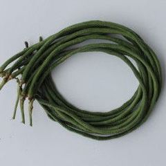  Hạt Giống Đậu Đũa Xanh INNO-520