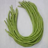 Đậu Đũa Hạt Đỏ INNO-521 - ảnh 1