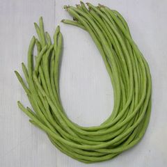  Đậu Đũa Hạt Đỏ INNO-521