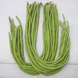 Hạt Giống Đậu Đũa Hạt Trắng Đỏ INNO-522 - ảnh 1