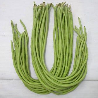 Hạt Giống Đậu Đũa Hạt Trắng Đỏ INNO-522 - Hạt Giống