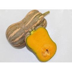  Hạt GIống Bí Hạt Đậu INNO 203