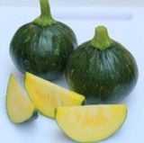 Hạt Giống Bí Ăn Non - INNO 303 - ảnh 1