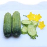 Hạt Giống Dưa Leo INNO-N05 - ảnh 1