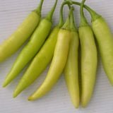 Hạt Giống Ớt Sừng Vàng INNO-558