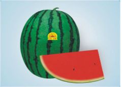  Hạt Giống Dưa Hấu Tiểu Long INNO-669