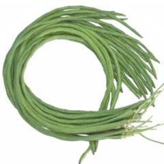  Hạt Giống Đậu Đũa XANH-ĐUÔI TÍM INNO-519