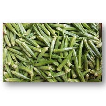 Hạt Giống Đậu Bắp Nhật INNO-200