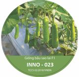 Hạt Giống Bầu Sao INNO-023