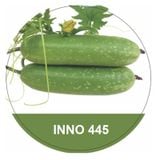 Hạt Giống Bí Đao Xanh Inno 445 - ảnh 1