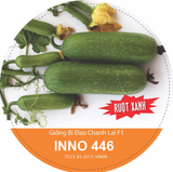Hạt Giống Bí Đao Xanh INNO 446 - ảnh 1