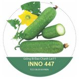 Hạt Giống Bí Đao Xanh INNO 447 - ảnh 1