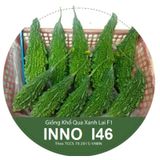 Hạt Giống Khổ Qua Rừng F1 - INNO I46 - ảnh 1