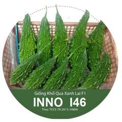  Hạt Giống Khổ Qua Rừng F1 - INNO I46