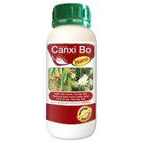  CANXI BO THANH LONG
