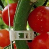 Kẹp Giữ Cố Định Thân Cây Cà Chua Tiện Dụng Chất Lượng Cao - ảnh 2