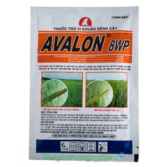  Avalon 8WP - Thuốc Trừ Vi Khuẩn Bệnh Cây