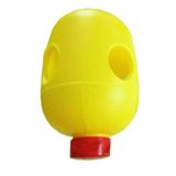 Bẫy diệt ruồi đục trái - ảnh 1
