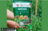 BIO-PRO TRICHO - Kiểm soát và ngăn ngừa các loại nấm bệnh gây hại cho cây trồng - ảnh 1