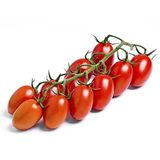 Hạt Giống Cà chua ORS 1403 - ảnh 1