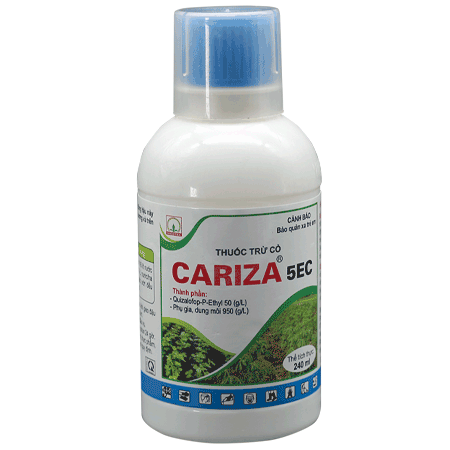 Cariza 5EC