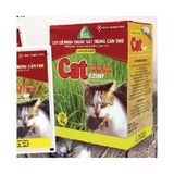 CAT 0.25WP - ảnh 1