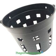  Chậu nhựa đen trồng lan