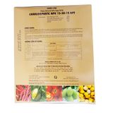 Phân Bón Lá Hỗn Hợp NPK Charleephate NPK 15-30-15 KPT - ảnh 2