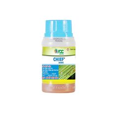  CHIEF 260EC – THUỐC ĐẶC TRỊ SÂU ĐỤC THÂN VÀ NHỆN CHO CÂY TRỒNG