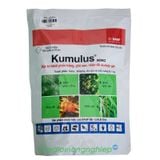Kumulus 80WG - Thuốc Trừ Nhện Và Nấm Bệnh Hại Cây Trồng - Sulfur - ảnh 1