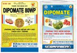 DIPOMATE 80WP - Mancozeb Xanh - Thuốc Trừ Bệnh - Công ty BVTV Sài Gòn SPC - ảnh 2