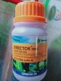 DIRECTOR 70EC - ảnh 1