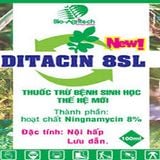 Ditacin 8L - ảnh 1