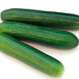 Hạt Giống Dưa leo - Magnum F1 - ảnh 1