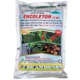 ENCOLETON 25WP - Thuốc Trừ Nấm Bệnh Nội Hấp - Đặc Trị Rỉ Sắt Cà Phê Và Thối Gốc Khoai Tây - ảnh 1