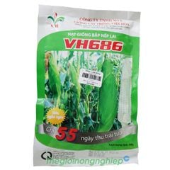  Hạt Giống Bắp Nếp Lai VH686