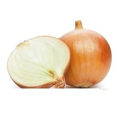  Hạt Giống Hành Tây