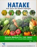 Hatake - ảnh 1