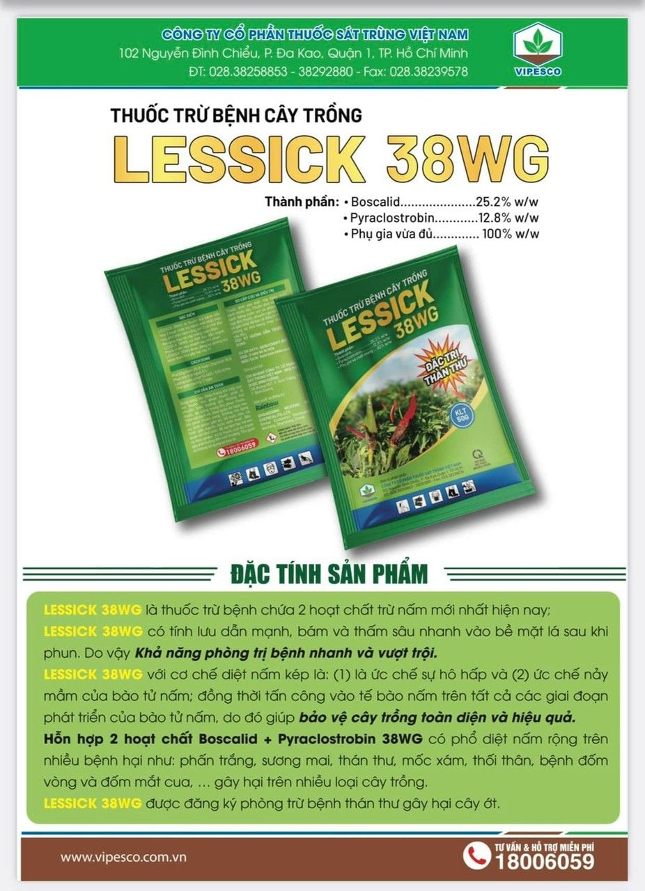 LESSICK 38WG